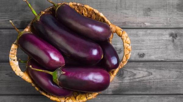 تصویر 1 از فروش بادمجان قلمی کوچک + قیمت خرید به صرفه